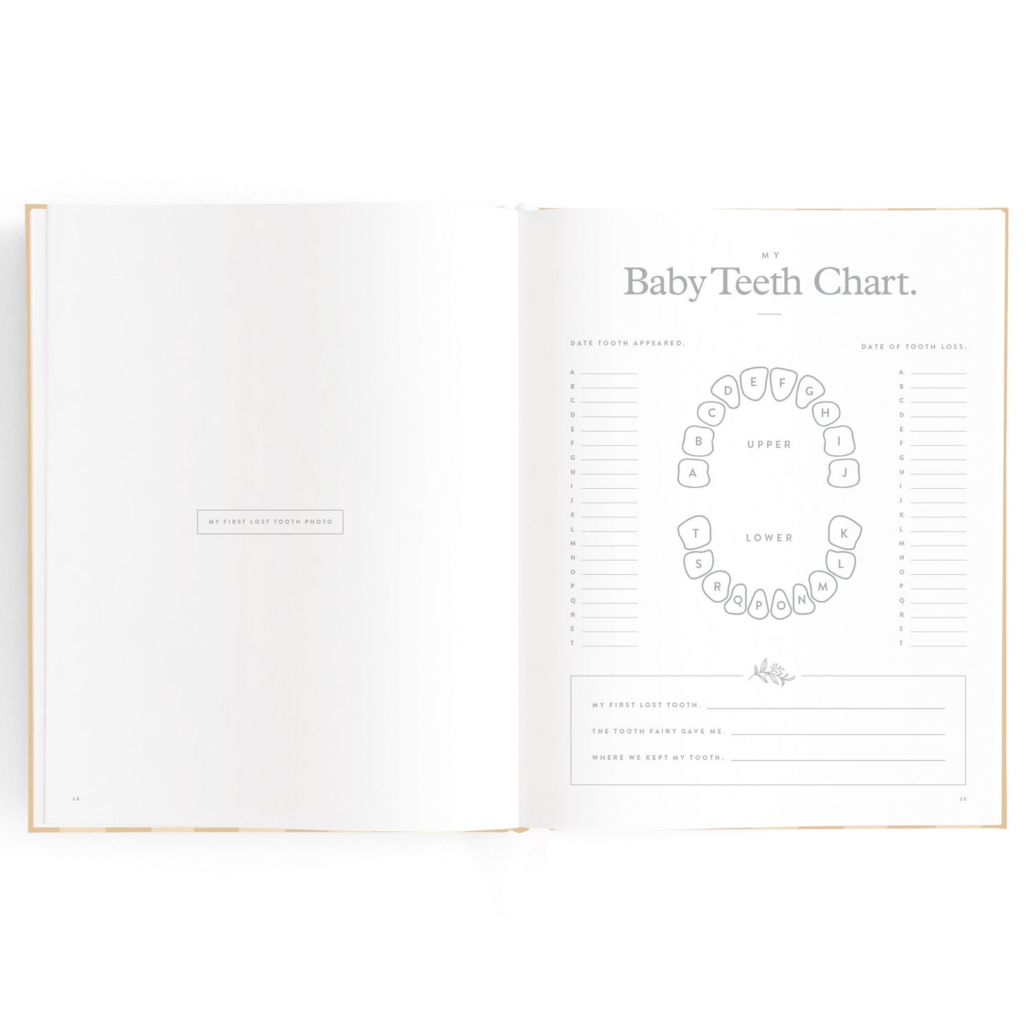 Baby Book Coffee Stripe