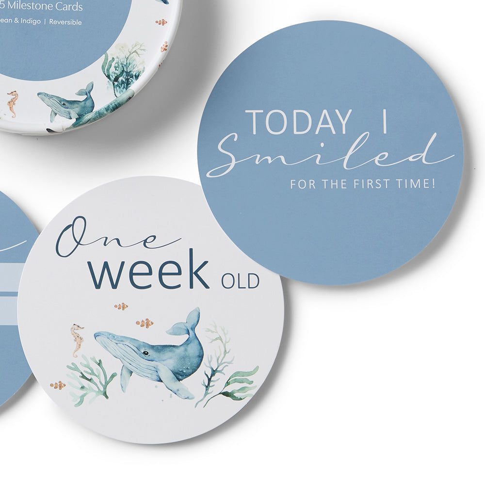 Ocean & Indigo Milestone Cards